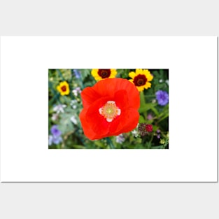 Red weed on the floral meadow color background Posters and Art